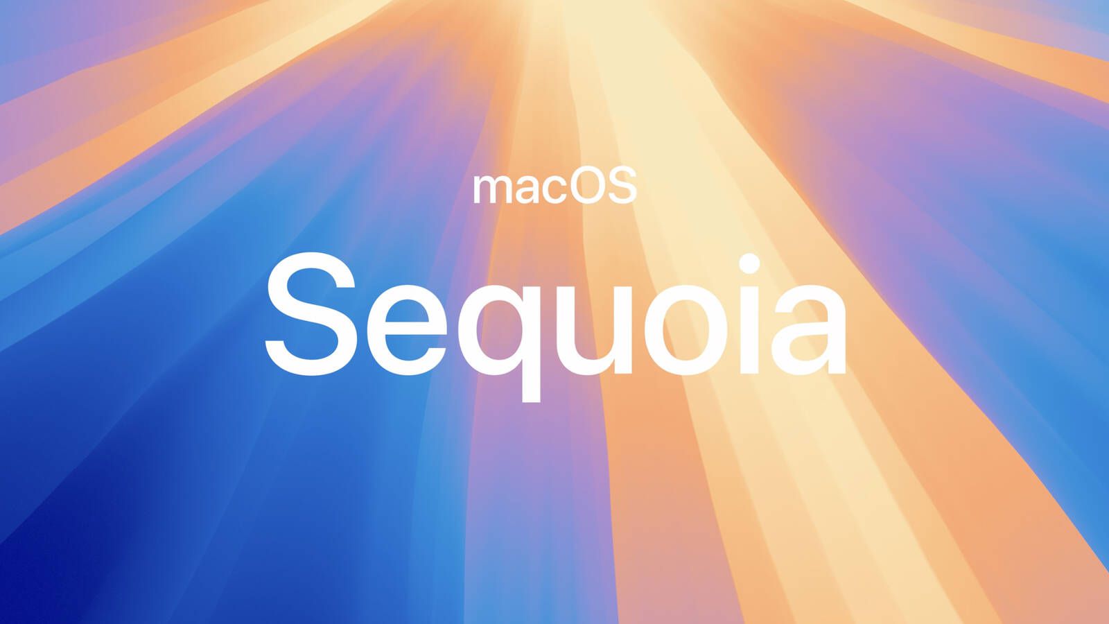 How to Stop macOS Sequoia Sharing Your Safari and Spotlight Searches with Apple