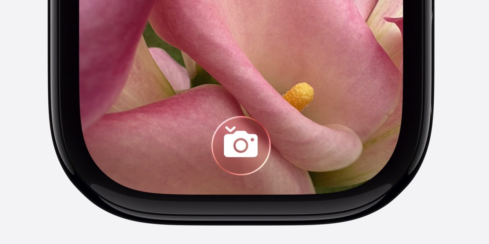 Enhancing Apple Watch Functionality: Introducing ‘Hints’ in watchOS 26