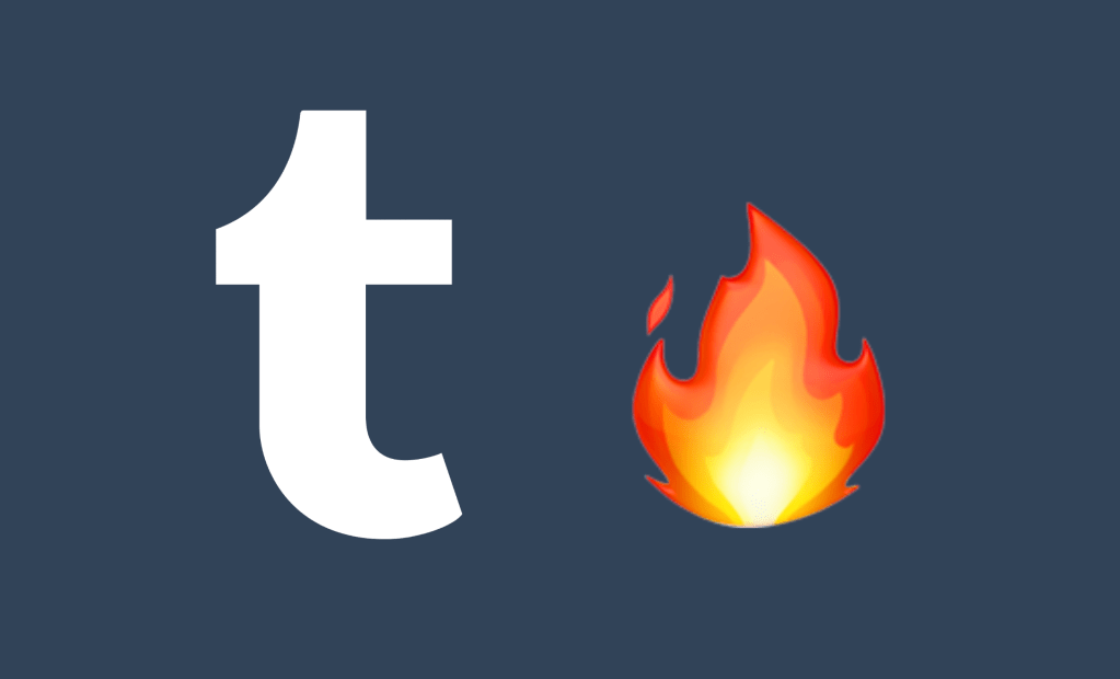 Automattic CEO Reflects on Tumblr Acquisition Challenges and Future Prospects