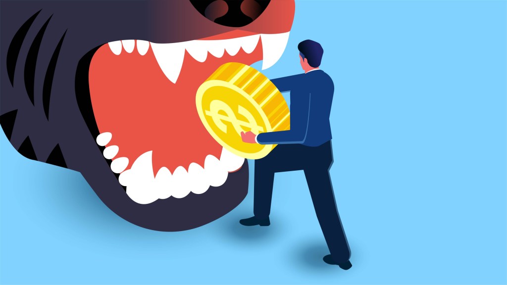 Rising Consumer Debt Concerns as ‘Buy Now, Pay Later’ Services Surge