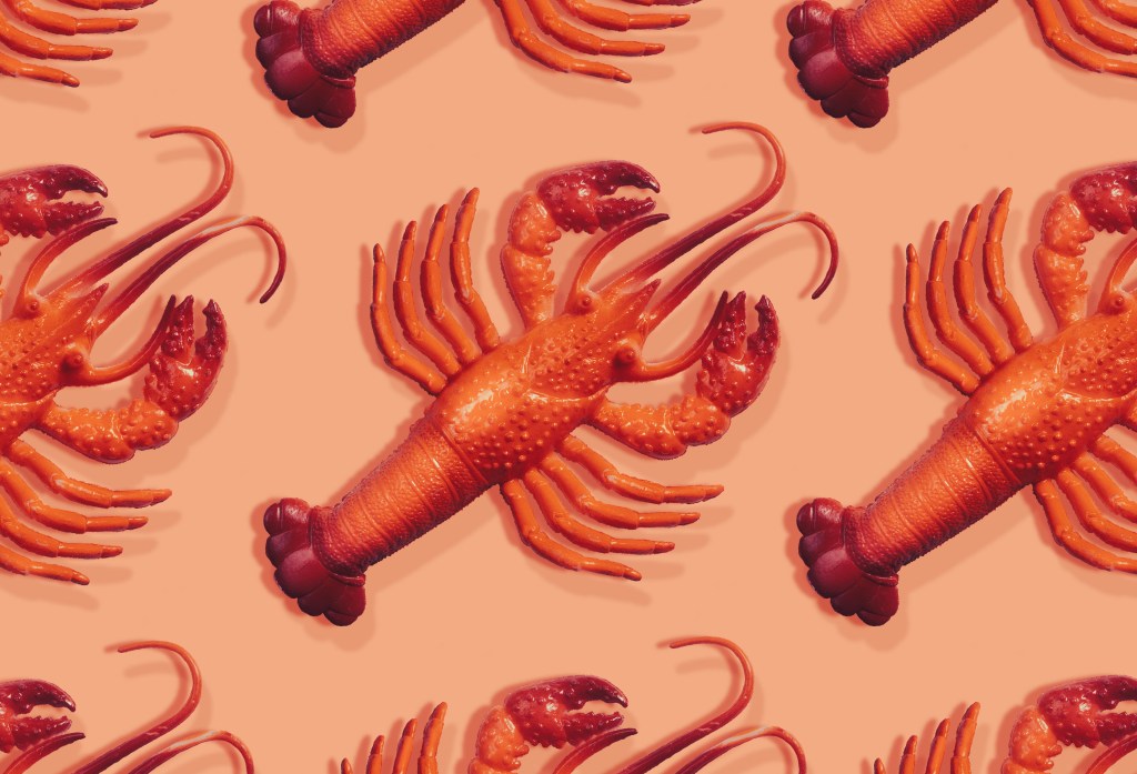 Moltbot: The Viral AI Assistant Boosting Productivity and Influencing Market Trends